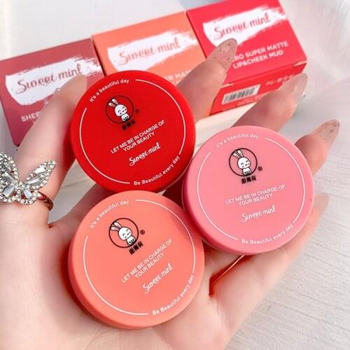 Matte Lipstick For Lips Mud Cosmetics Professional Makeup Full Portable Waterproof Lipsticks Make Up Tint Lip Stick TSLM1