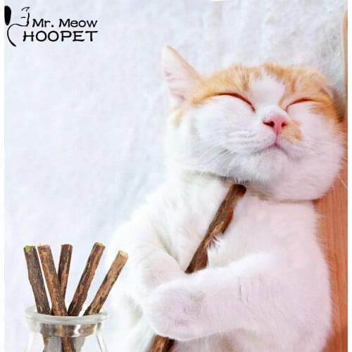 Hoopet Pet Cat Toy Natural Catnip Stick Toy For Cats Healthy Safe Edible Treating For Small Cat Kitten Supplies