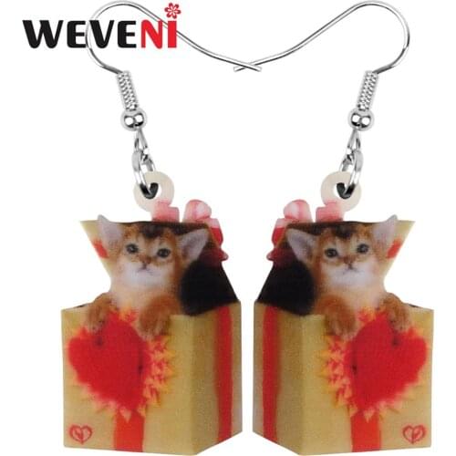 WEVENI Acrylic Valentines Day Heart Box Abyssinian Cat Earrings Drop Dangle Jewelry For Women Girls Teens Charms Gift Accessory
