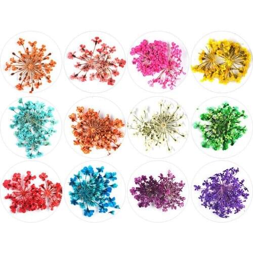12 Grid Dried Flower Nail Art Rhinestones Kit Multicolor Nail Art Decorations MPwell