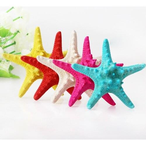 Colored Shells Starfish Scallops Natural Shells Conch Tanks Landscaping Platform Creative Wall Stickers Photographic Ornaments