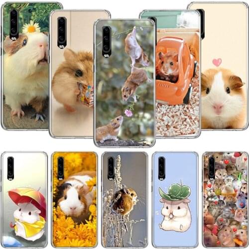 Cute Lovely Pet Hamster Phone Case For Huawei P30 P40 P20 P10 Mate 20 10 30 Lite Pro P Smart Z Plus Printing Cover Coque Shell