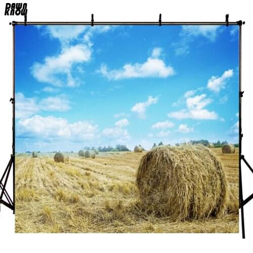 DAWNKNOW Sky Straw Scenic Vinyl Photography Background For Baby New Fabric Polyester Backdrop For Personal Photo Studio S494