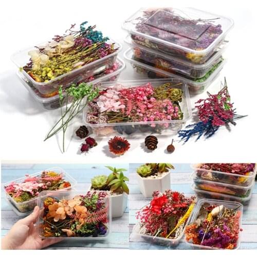 1Box Mixed Real Dried Flowers Dry Plants Pressed Flowers for DIY Epoxy Resin Jewelry Making Pendant Necklace Crafts Accessories