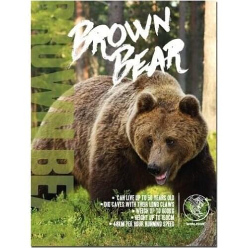 Brown Bear - Zoo Animal Safari Park Tin Sign Metal Sign Metal Poster Metal Decor Metal Painting Wall Sticker Wall Sign Wall