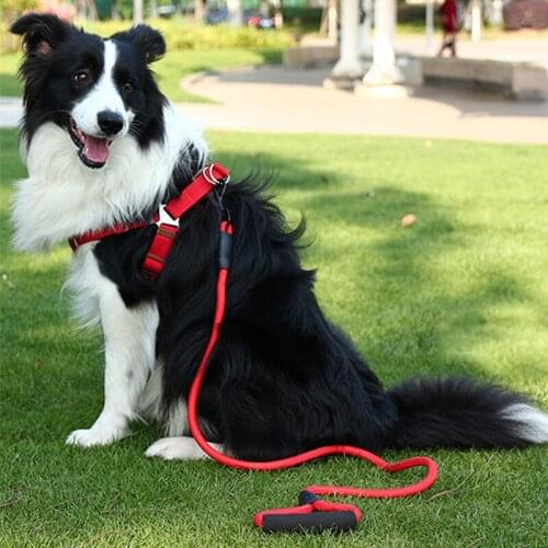 Adjustable Rope Pet Dog Harness Leash Set Puppy Cat Lead Leash Collars Walking Chest Strap Nylon Soft Walking Harness pet suppli