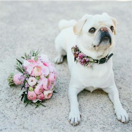 Full 5D Diy Diamond Painting Cross-stitch Flower dog 3D Diamond mosaic kit Rhinestone animal picture Embroidery Diamand BY1384