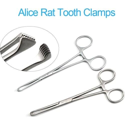 Alice Rat Tooth Clamps Pet Orthopaedic Surgical Instruments Tissue Forceps Cervical Forceps Uterine Forceps