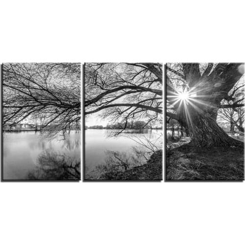 3Pcs full square diy diamond painting Lakeside Big Trees Black White Landscape 5d cross stitch diamond embroidery mosaicZP-2628