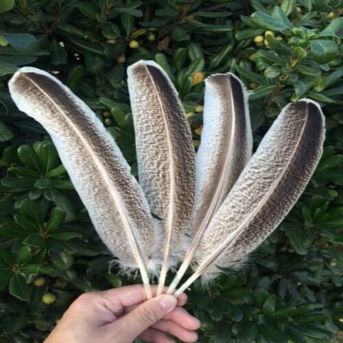 22-30 cm / 10-12 inches Natural color 2016 eagle feathers a set of wholesale and retail plume 10PCS/bag