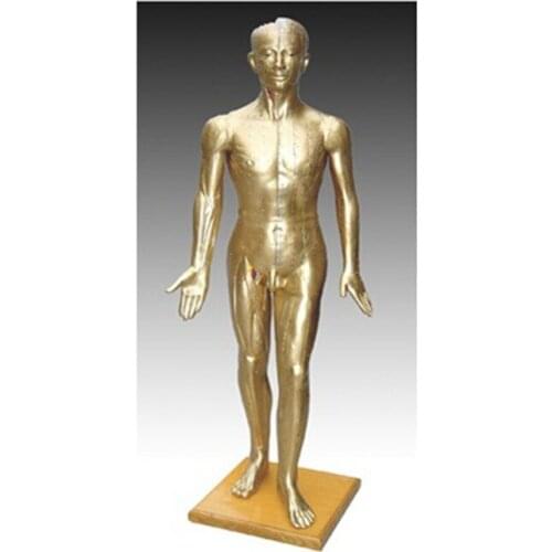 Chinon 178CM Bronze Acupuncture Figure Traditional Chinese Medicine Model TCM Medical Science Student Teaching Traning Tools