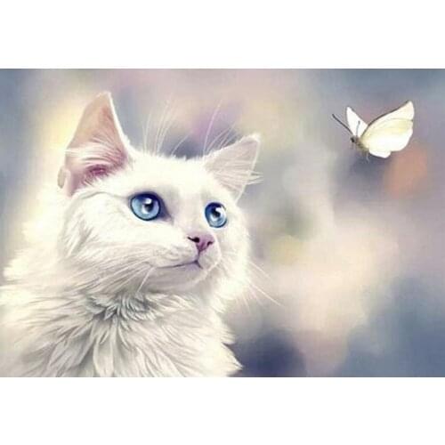 Full Square/Round 5D DIY Diamond Painting Animal cat pictures of Rhinestones Diamond embroidery butterfly wall decoration FG1759