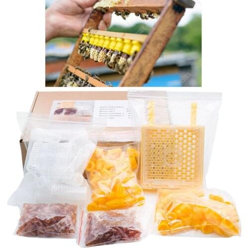 1 Set Beekeeping Queen King Rearing Kit System Plastic Cell Cup Cage Bees Tools Complete Beekeeping Equipment Apiculture Box kit