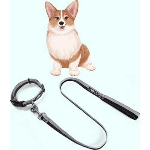 Selected Dog Leash Running Walk Train For Large Small Cat Pets Leashes Pet Dog Lead Leash For Dogs Cats Nylon Walk Dog Leash