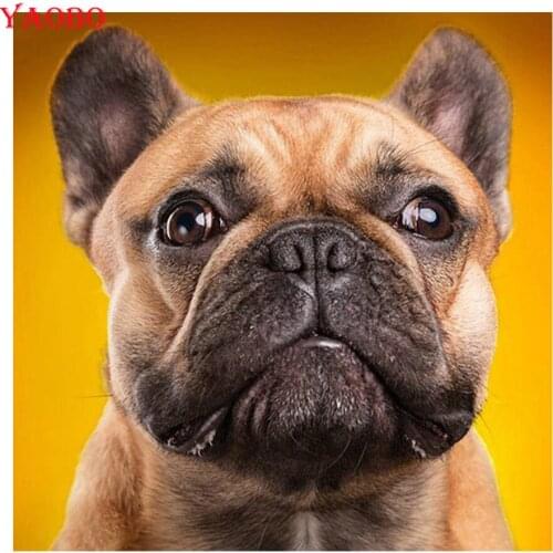 Shar Pei Diamond Embroidery,Pet Photo Custom Diamond Painting, 5d Cross Stitch,3D,Diamond Mosaic,diamond mazayka,gift