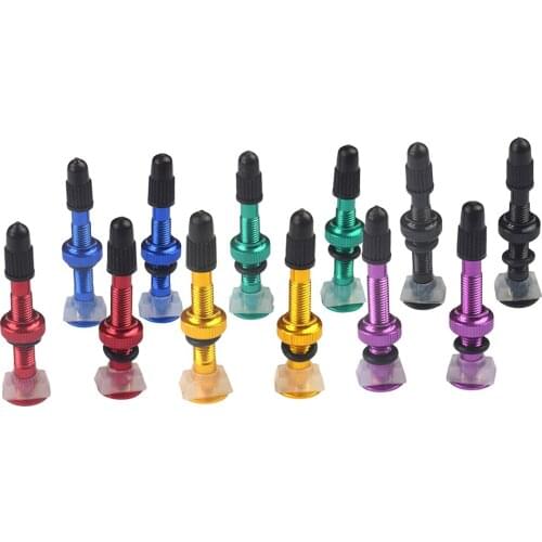 6Colors 2Pcs Mountain Bike Tubeless Tires Presta Valves Vacuum-Nozzle