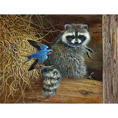 Animal 5D DIY Diamond Painting Full Square Round 3D Embroidery Raccoon Pictures of Rhinestones Cross Stitch Kits Art Decor DF627