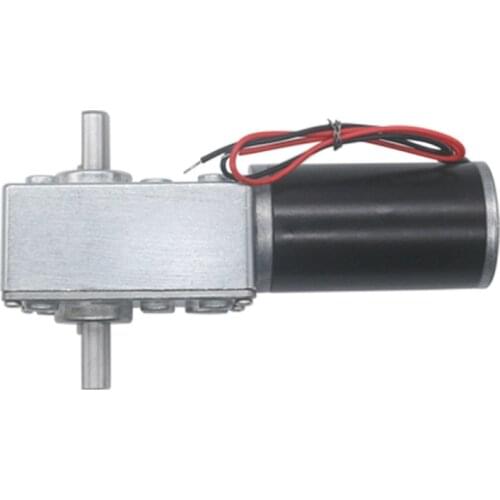 5840-31ZY Double Shaft Worm Gear Motor, High Torque DC 12V 24V Self Locking Reduction Motor