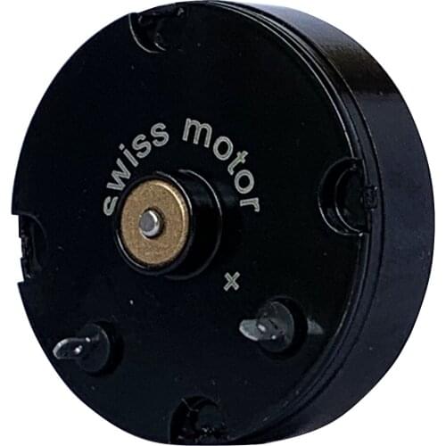 2607 Swiss Flat Tattoo Motor For Rotary Machine Gun Beauty Instrument Replacement Faulhaber liner Shader Ink Needles