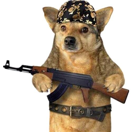 Clothing Patches Dog Soldier Pattern Iron On Patches Thermal Transfer Printing Fashion Stickers for Clothes Style Decoration