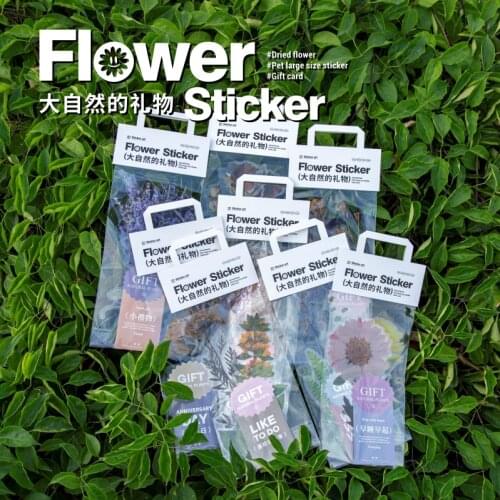 3 Sheet/pack The Plants PET Large Stickers Scrapbooking Diy Students Supplies Diary Stationery Sticker Set Office Decoration