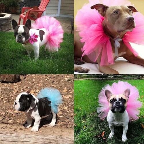 Dog Cat Princess Dress Skirt Female Dog Mesh Gauze Tutu Skirts Pet Dog Cat Party Dress Summer Clothes Performance Costume