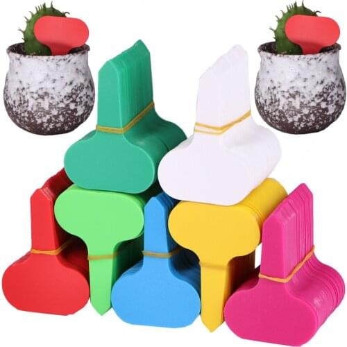 50-70PCS Colorful Plant Markers Garden Bonsai Succulent Seedings Tags Sign PVC Gardening Label Stake on Soil Stick Waterproof