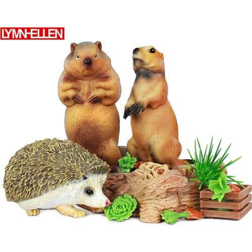 Gift Solid Simulation Wild Animal Model Toy Mouse Groundhog Squirrel Hala Hedgehog Environmental Plastic Model