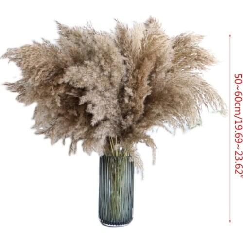 50 Pcs Natural Dried Flowers Bouquet Reed Wheat Ears Setaria Natural Bundles