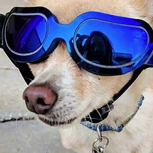 Pet Dog Glasses Foldable Waterproof Dog Protection Goggles UV Sunglasses Swimming Product Dog Pet Glasses