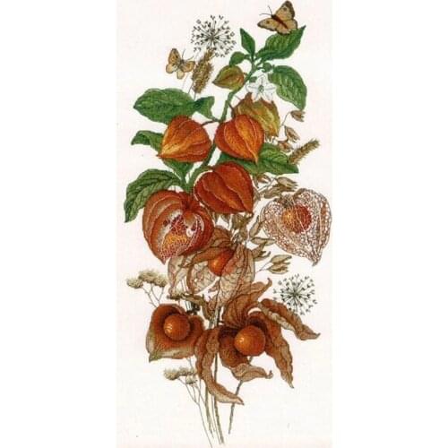 Top Manufacturer Embroidery Emerald Berry Modern Cross Stitch Kits Canada with 100% Cotton Floss & Free Shipping for Wall Decor