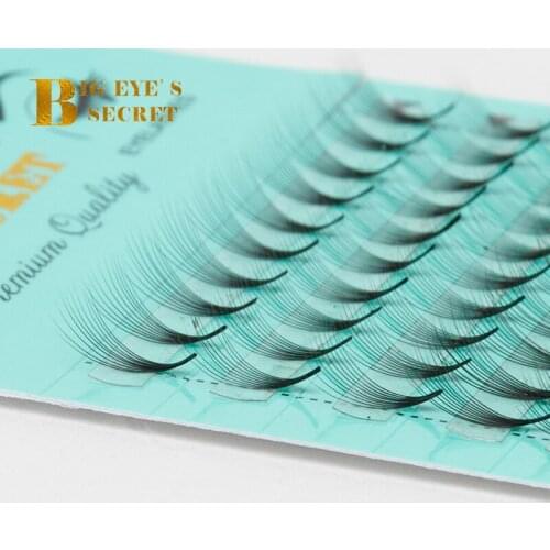 1Tray/Set Mink Lashes Premade 10D Volume Classic Fans Semi Permanent Individual Eyelash Extensions Free Shipping