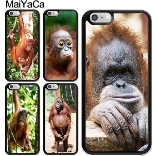 Orangutan Monkey Primates Animal Case For iPhone 12 Mini 11 Pro MAX X XR XS MAX SE 2020 6S 7 8 Plus 5s Cover