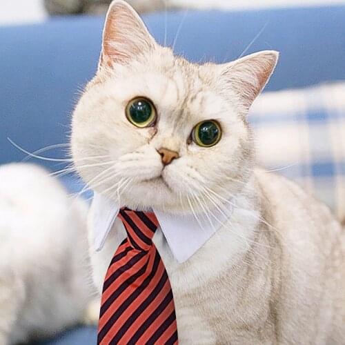 Adjustable Dog And Cat Pet Ties For Medium-sized Small Dogs And Cats Bowties Bowknot Puppy Collar Pet Grooming Accessories