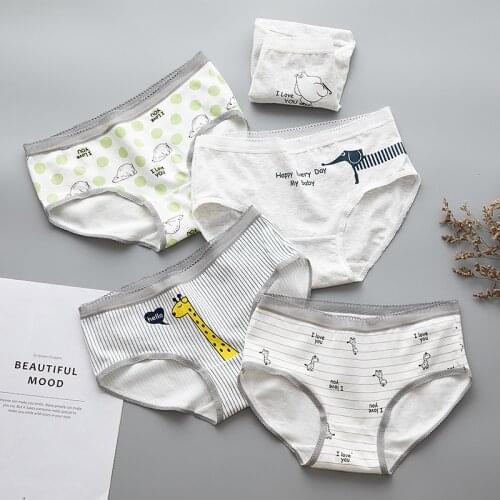 Cute Giraffe Underpant Women Funny Bear Cotton Briefs Lingerie Dog Panties M-XXL