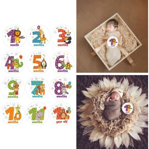 24Pcs/Set Newborn Baby Monthly Stickers Baby Pregnant Monthly Photograph Sticker 69HE