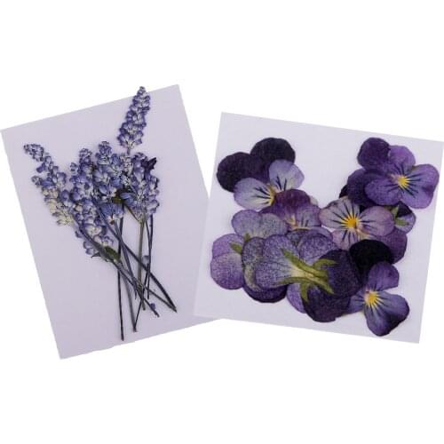 22 Pressed Real Violet & Sage Flower Dried Flowers For Jewelry Making Crafts