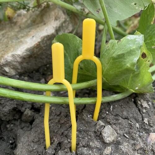 50PCS/lot Plant Pressure Vine Fork Stolon Fixed Clips Watermelon Pressure Vine Device Strawberry Planter Planting Fork