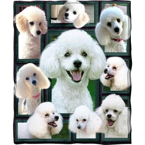 2021 Poodle Fleece Blanket 3D full printed Wearable Blanket Adults/kids Fleece Blanket Sherpa Blanket Drop Shippng