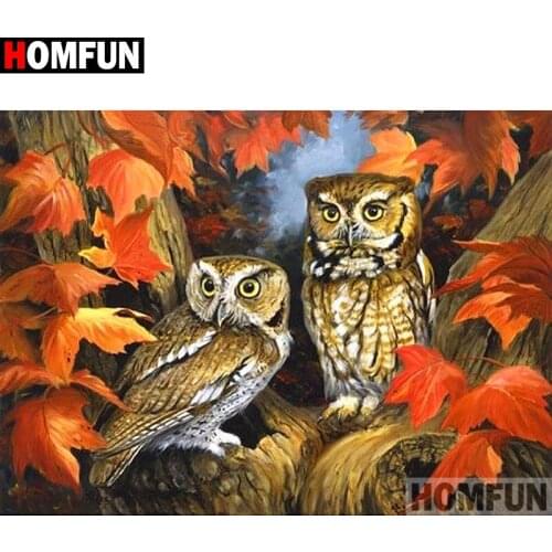 HOMFUN Full Square/Round Drill 5D DIY Diamond Painting "owl" Cross Stitch 5D Home Decor A01342