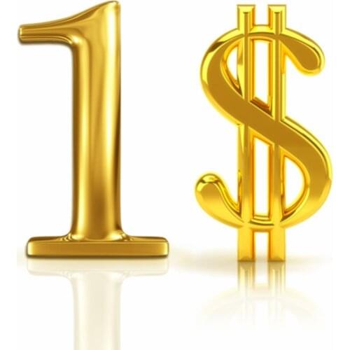 Additional Pay on Your Order Extra Shipping Fee