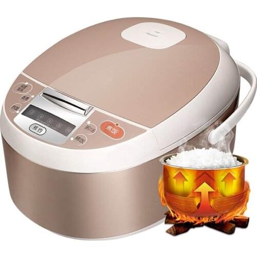 Large 5L Capacity intelligent rice cooker 860W with reservation function electric rice cooker