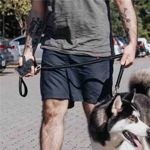 Pet Supplies Reflective Nylon Retractable Elastic Dog Seat Belt Pitbull Puppy Vehicle Car Safety Lever Auto Traction Rope Leash