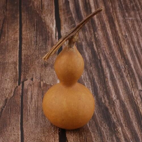 NATURAL DRY BOTTLES BOTTLE BOTTLES DIY FLORAL DECORATION CRAFTS