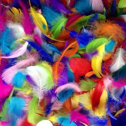 300pcs DIY Goose Feathers 8-12cm 3-4 inches Goose Feather Plumes Feathers Washed Goose Down Fluffy Plume For Wedding Party
