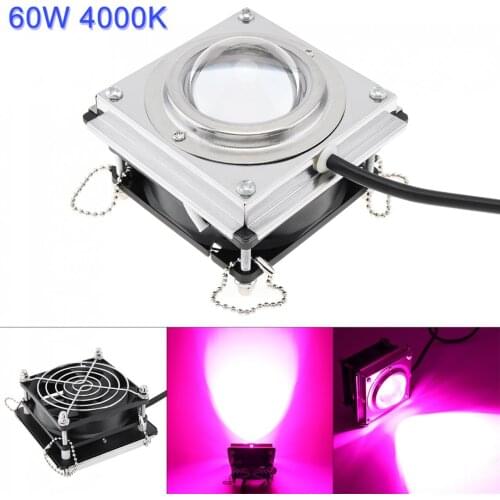 4000K 60W LED Plant Grow Light Full Spectrum with Heat Dissipation for Succulent Flowers Plants Greenhouse Hydroponics
