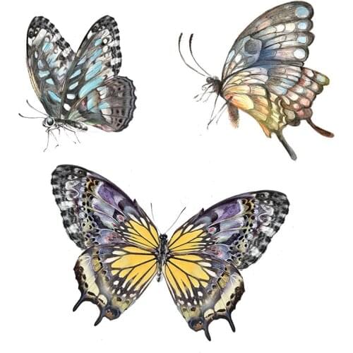 Three Ratels QCF28 Hand painted colorful butterfly refrigerator toilet laptop wardrobe door decoration Decal