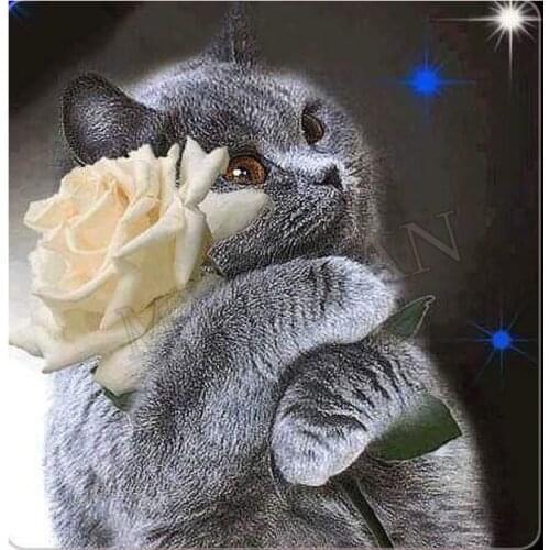 Cat & Rose 5D Diy Diamond Painting Full Square/round Mosaic Drill Resin Handmade Embroidery 3D Cross Stitch Kit Painting decor