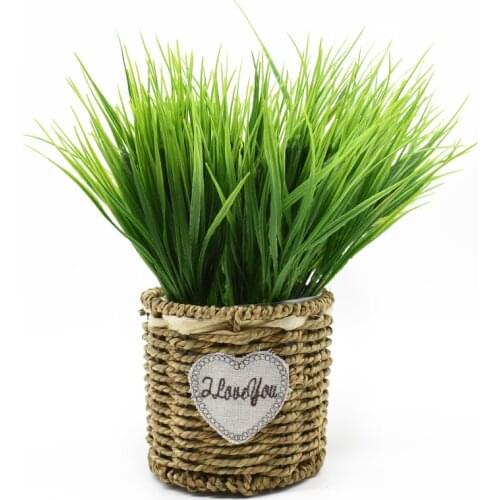 Artificial Grass Dycrazy China