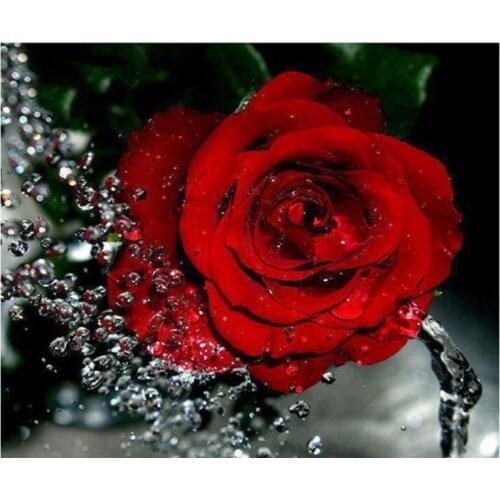 Red rose water drip Flower DIY Digital Painting By Numbers Modern Wall Art Oil Painting Holiday Gift Home Decor Big Size